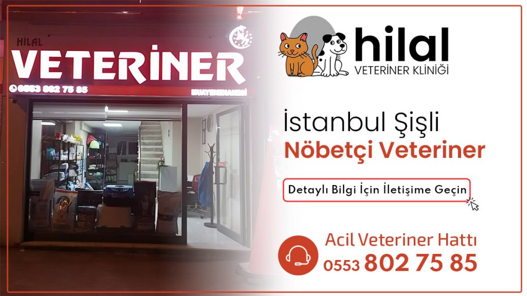 Şişli nöbetçi veteriner kliniği hizmetinizde